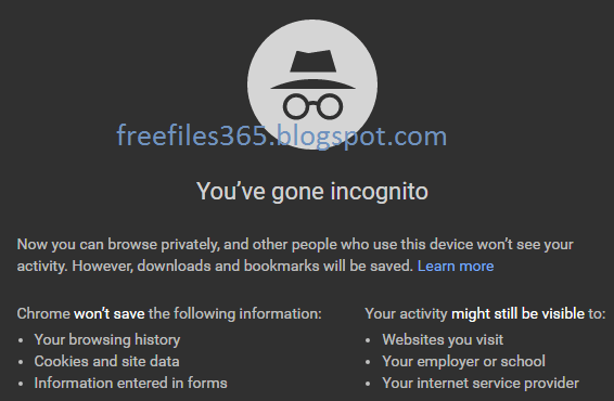 Private Browsing Window in Google Chrome